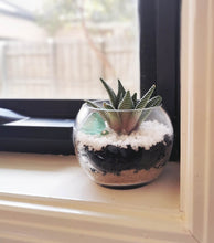 Load image into Gallery viewer, Succulent Terrarium Bowl - Craft Gift Box + Video Tutorial

