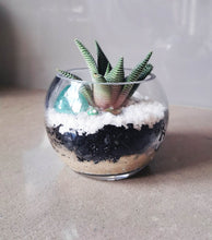 Load image into Gallery viewer, Succulent Terrarium Bowl - Craft Gift Box + Video Tutorial
